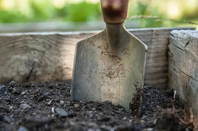 Soil How to Start a Garden