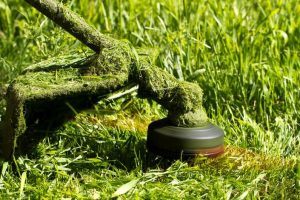 The-Cutting-Path-300x200.jpg Best Commercial Weed Eaters