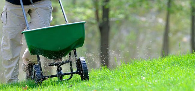 HOW TO FERTILIZE YOUR GARDEN