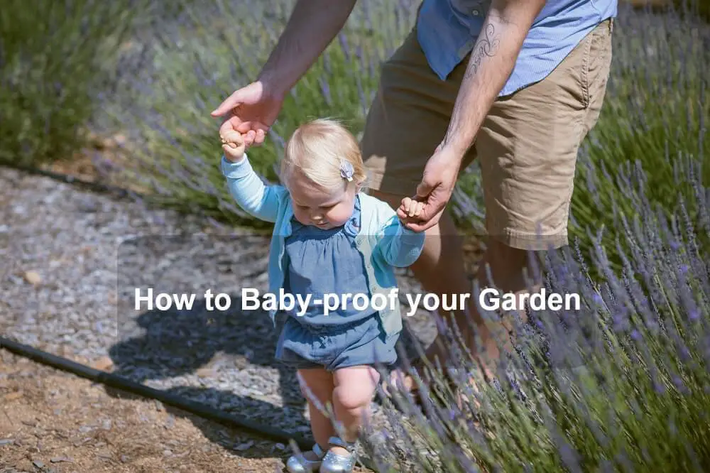 How to Baby-proof your Garden