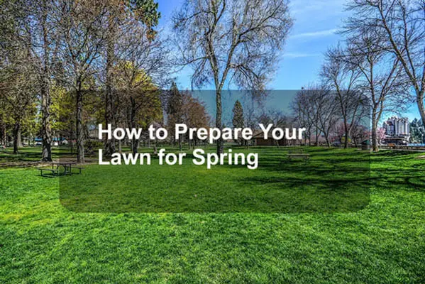 How to Prepare your lawn for spring