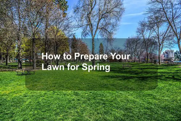 How to Prepare Your Lawn for Spring