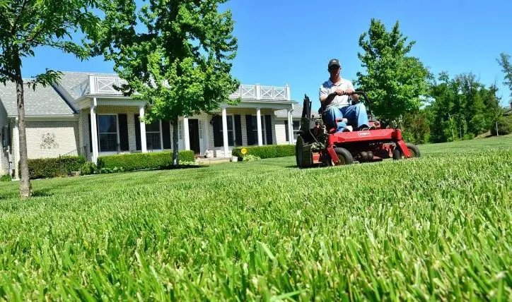 How Short To Cut Grass Before Winter?