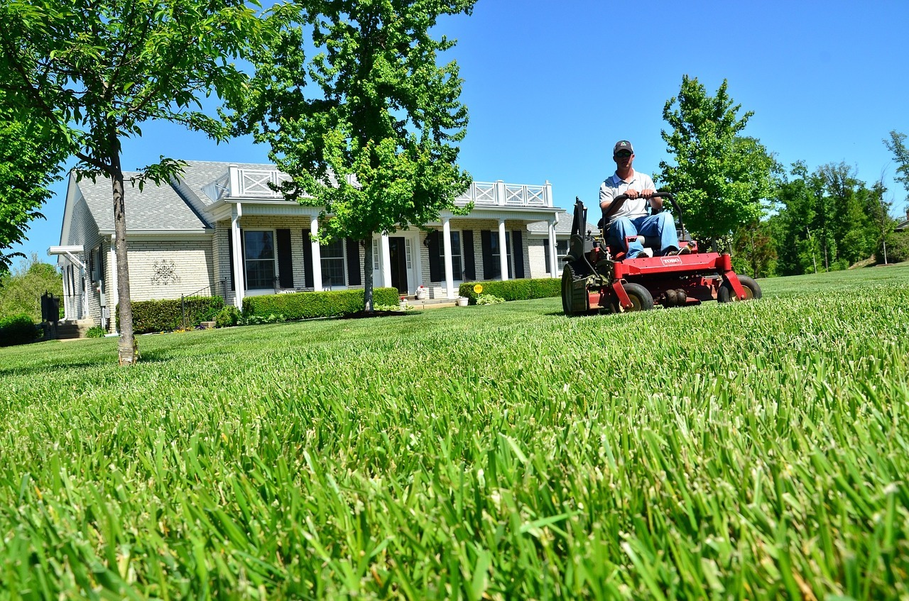 How to Cut Grass after Rain