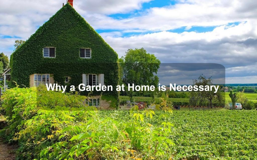 Why a Garden at Home is Necessary