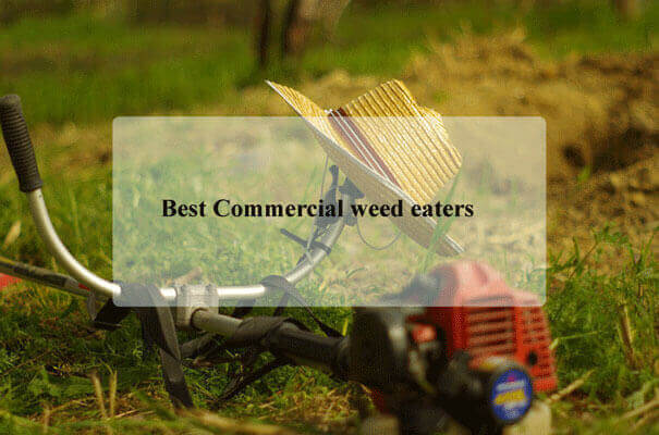 Best Commercial Weed Eaters