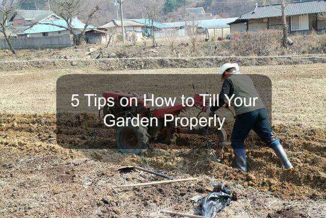 5 Tips On How To Till Your Garden Properly Simple And Effective