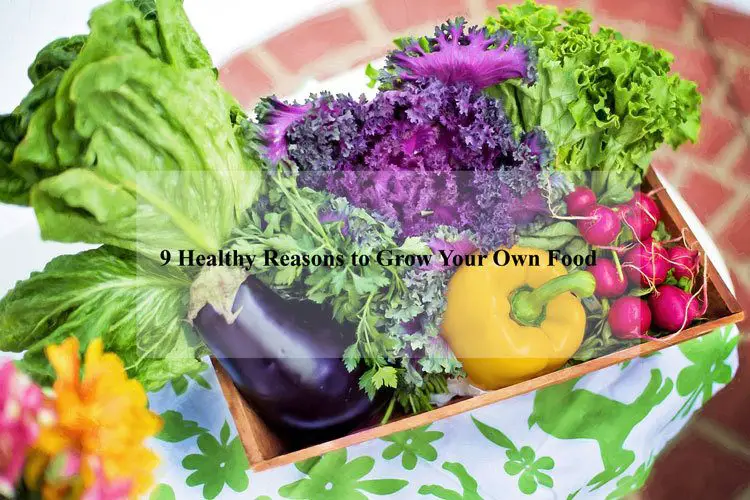 9 Reasons to Grow Your Own Food