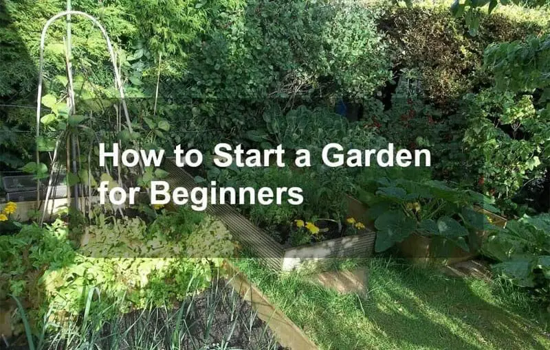 How To Start A Garden For Beginners How To Start A Garden For Beginner