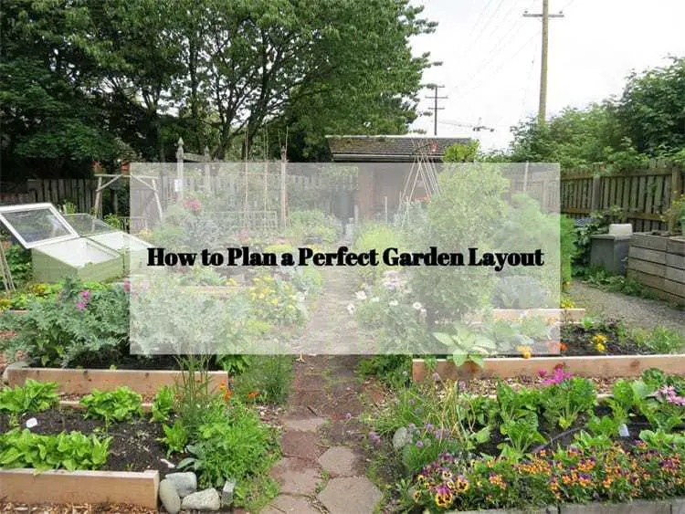 How to Plan a Garden Layout