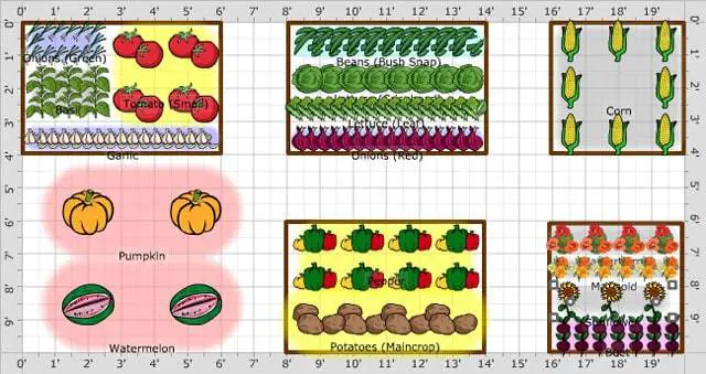 19' 11" x 9' 11" Garden plan