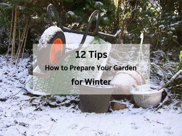 12 incredibly easy ways to prepare your garden for winter