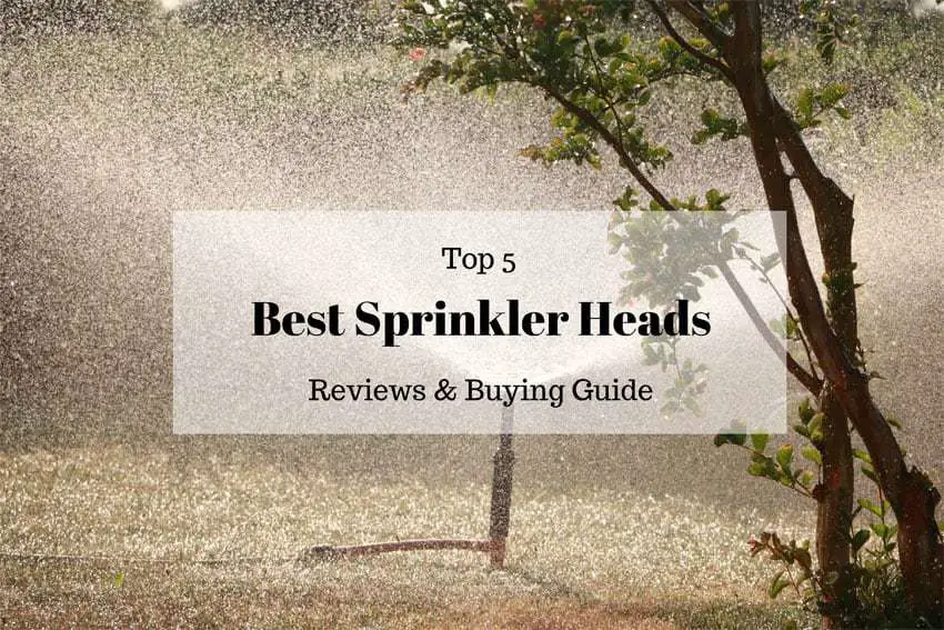 Best Sprinkler Heads