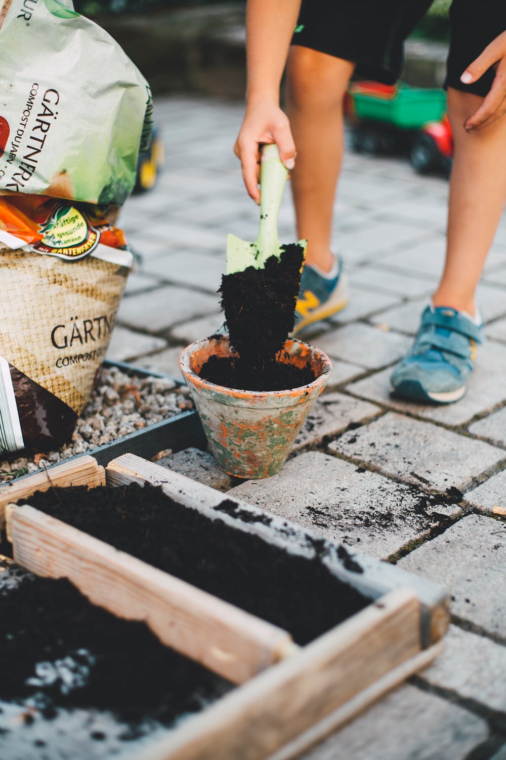How to Start a Garden for Beginners