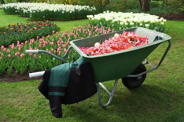 Wheelbarrow Wheelbarrow
