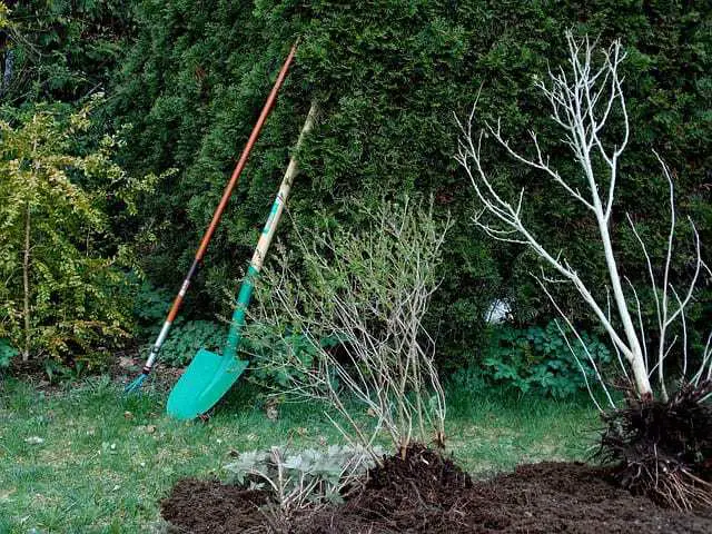 shovel Gardening shovel