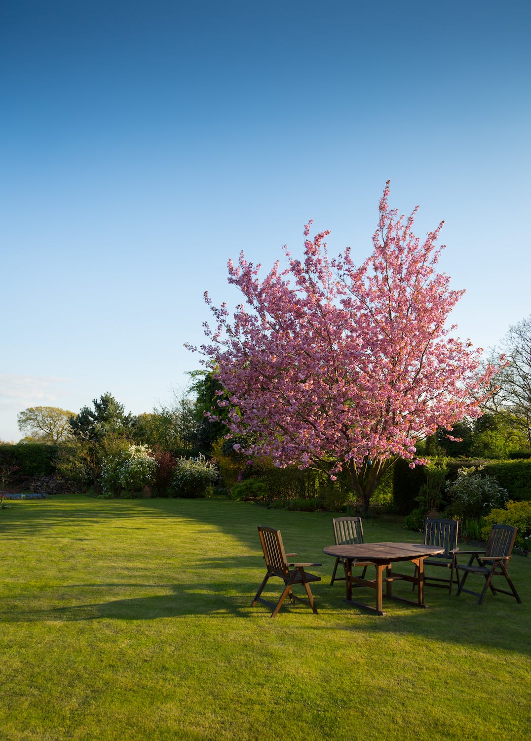 How Often Should You Mow Your Lawn