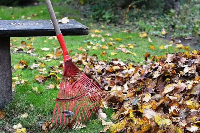 Leaf rake Leaf rake