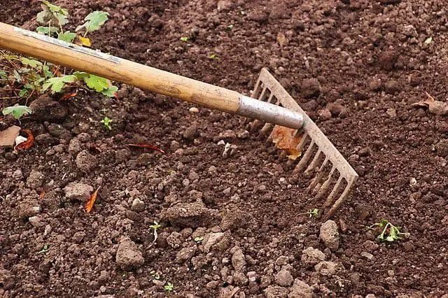 A rake Rake
