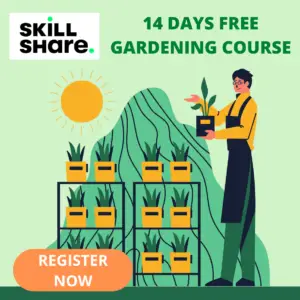 Skillshare free trial gardening