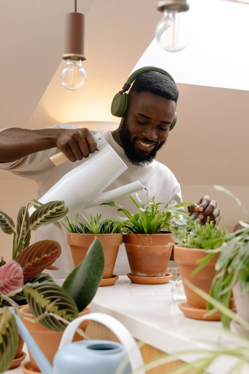 Best Gardening Headphones