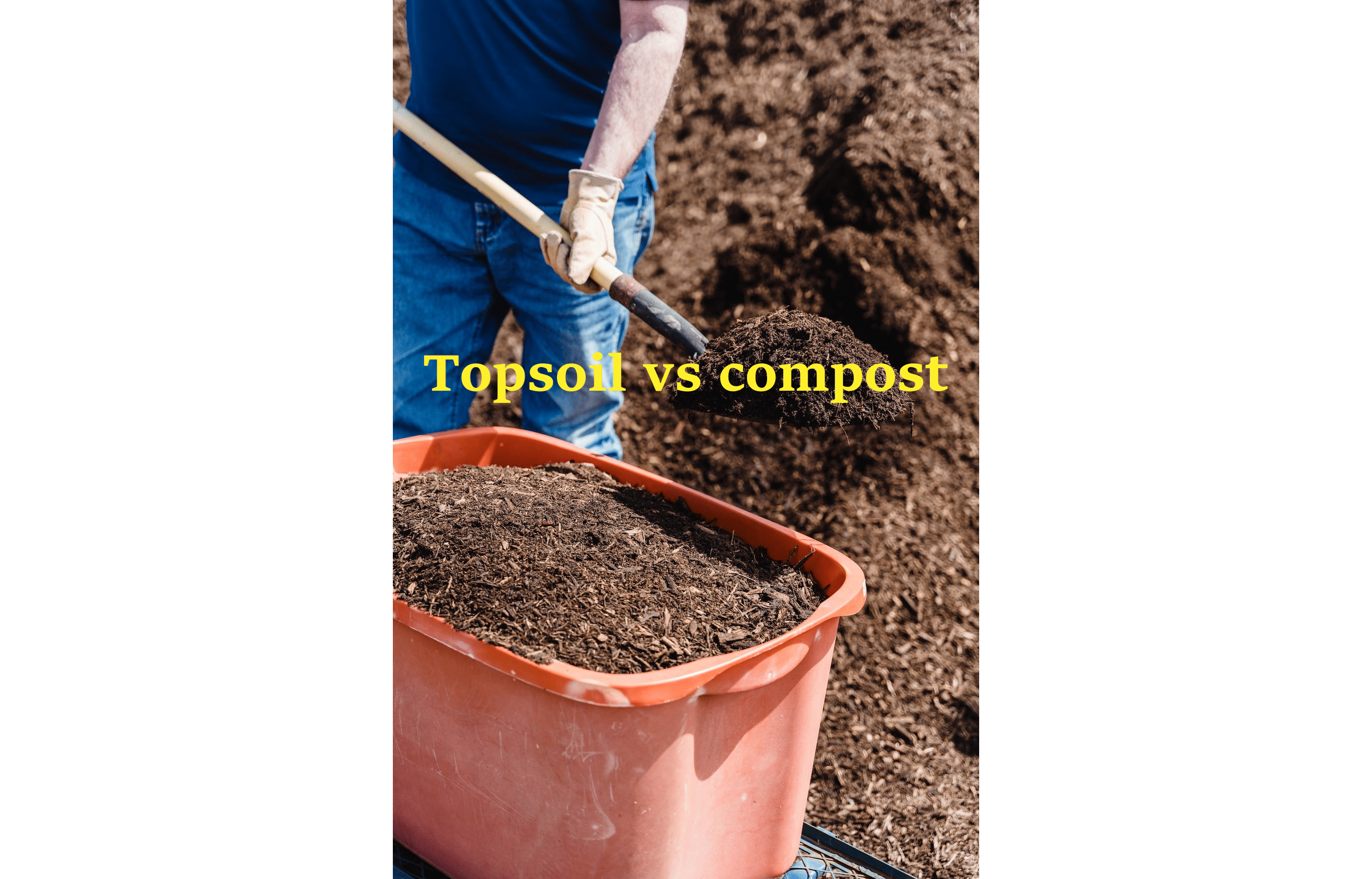 Top Soil Vs Compost