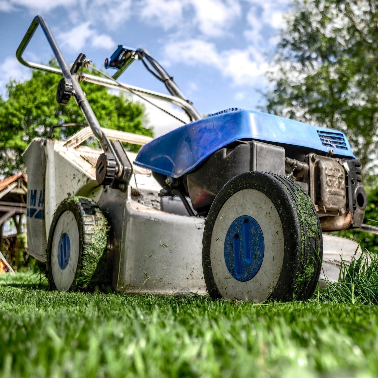 Best Lawn Mowers For Small Gardens