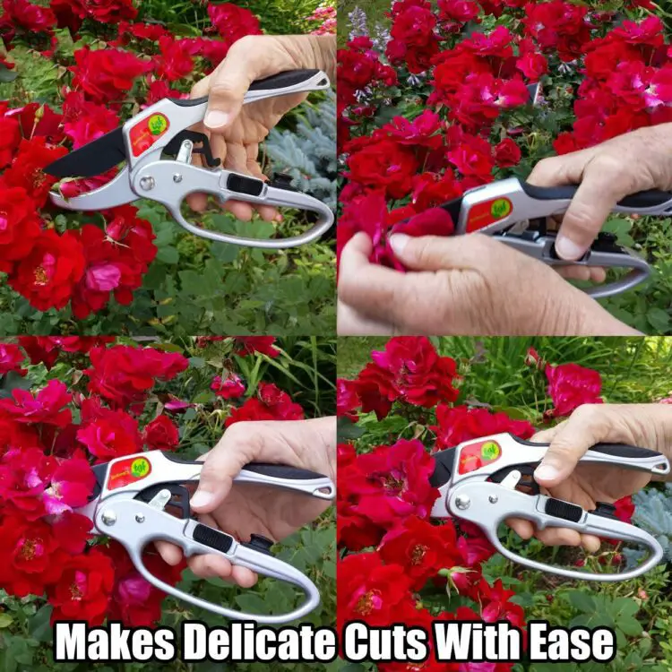 Five Quality Gardening Shears