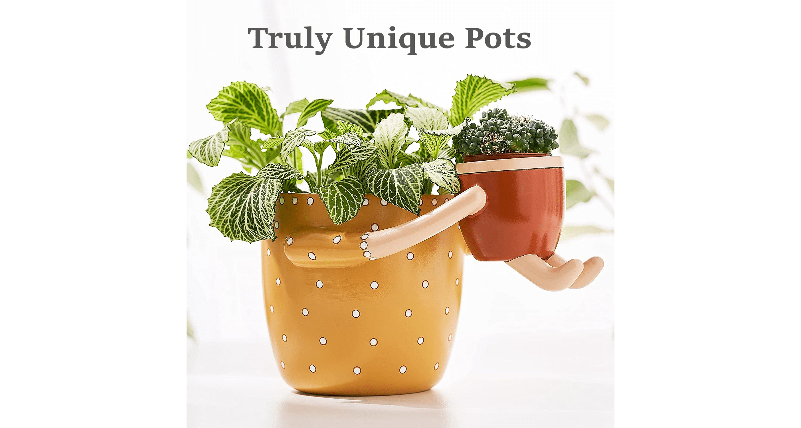 Simply Unique Pots