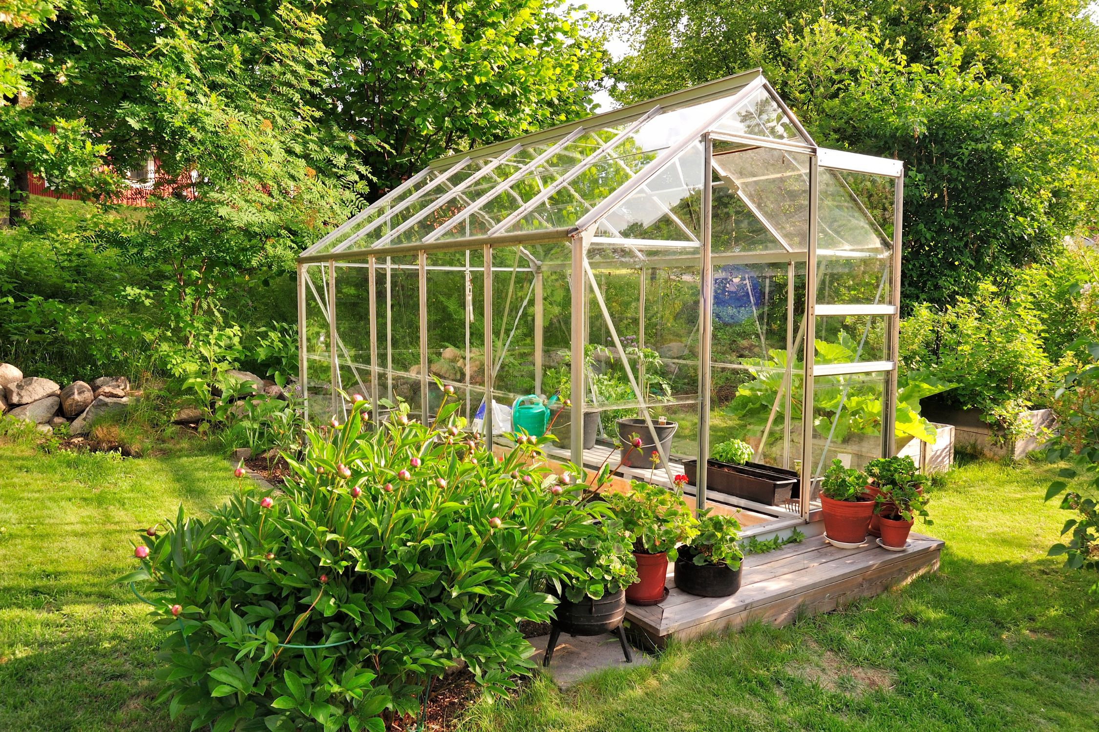 Great Spring Crops To Grow in a Greenhouse