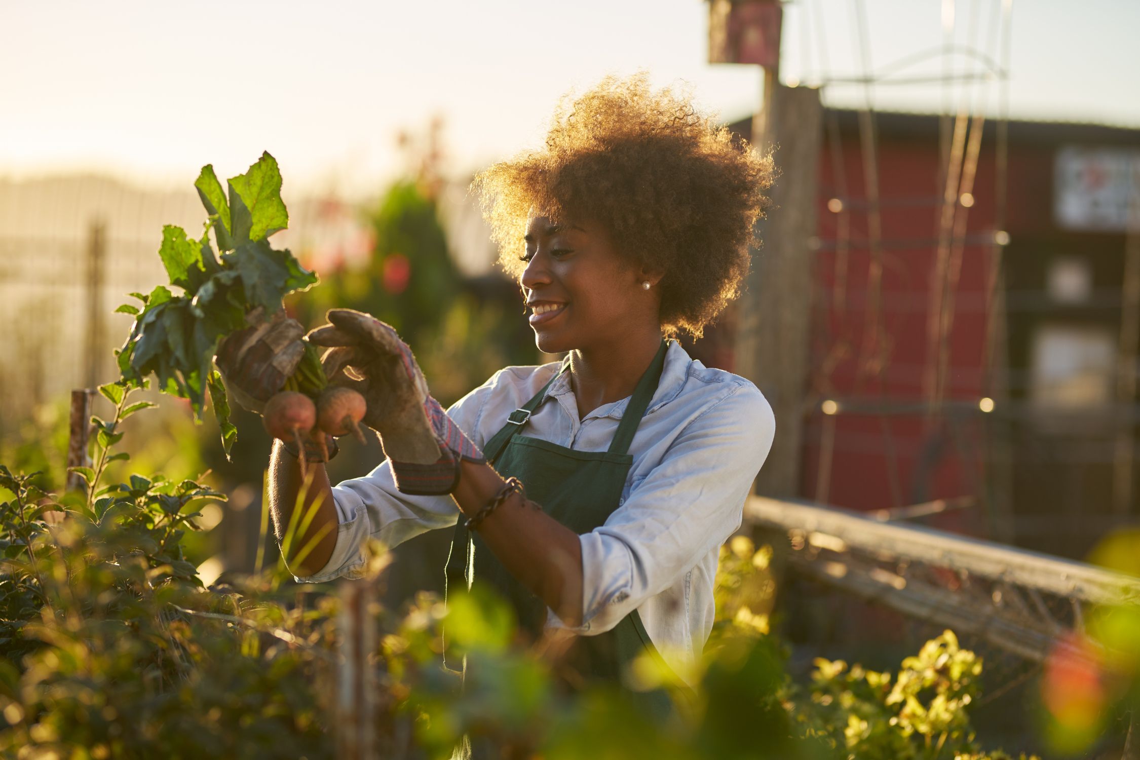 The Best Produce You Can Grow in Your Garden