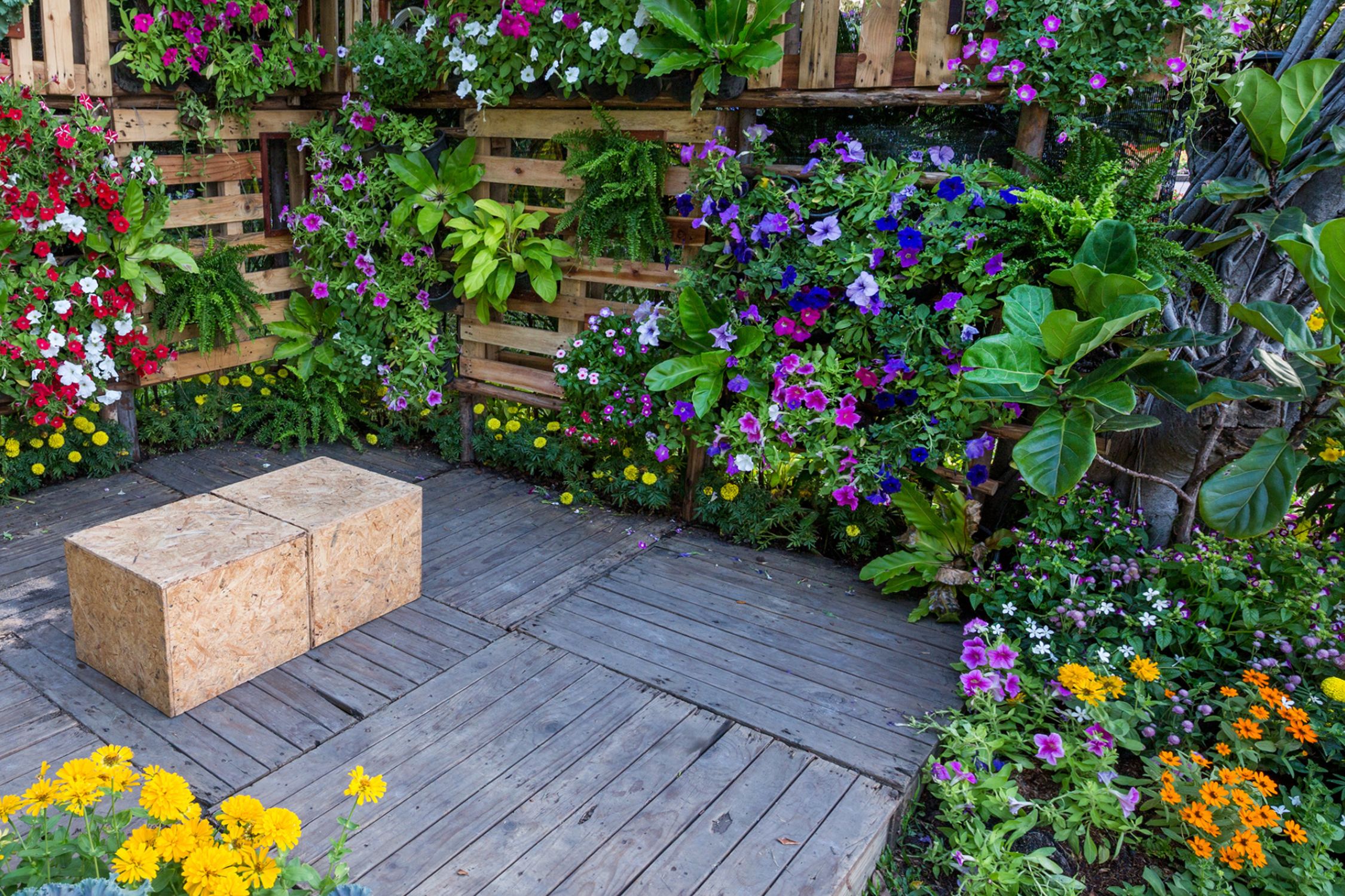 3 Ideas To Beautify a Small Garden Space