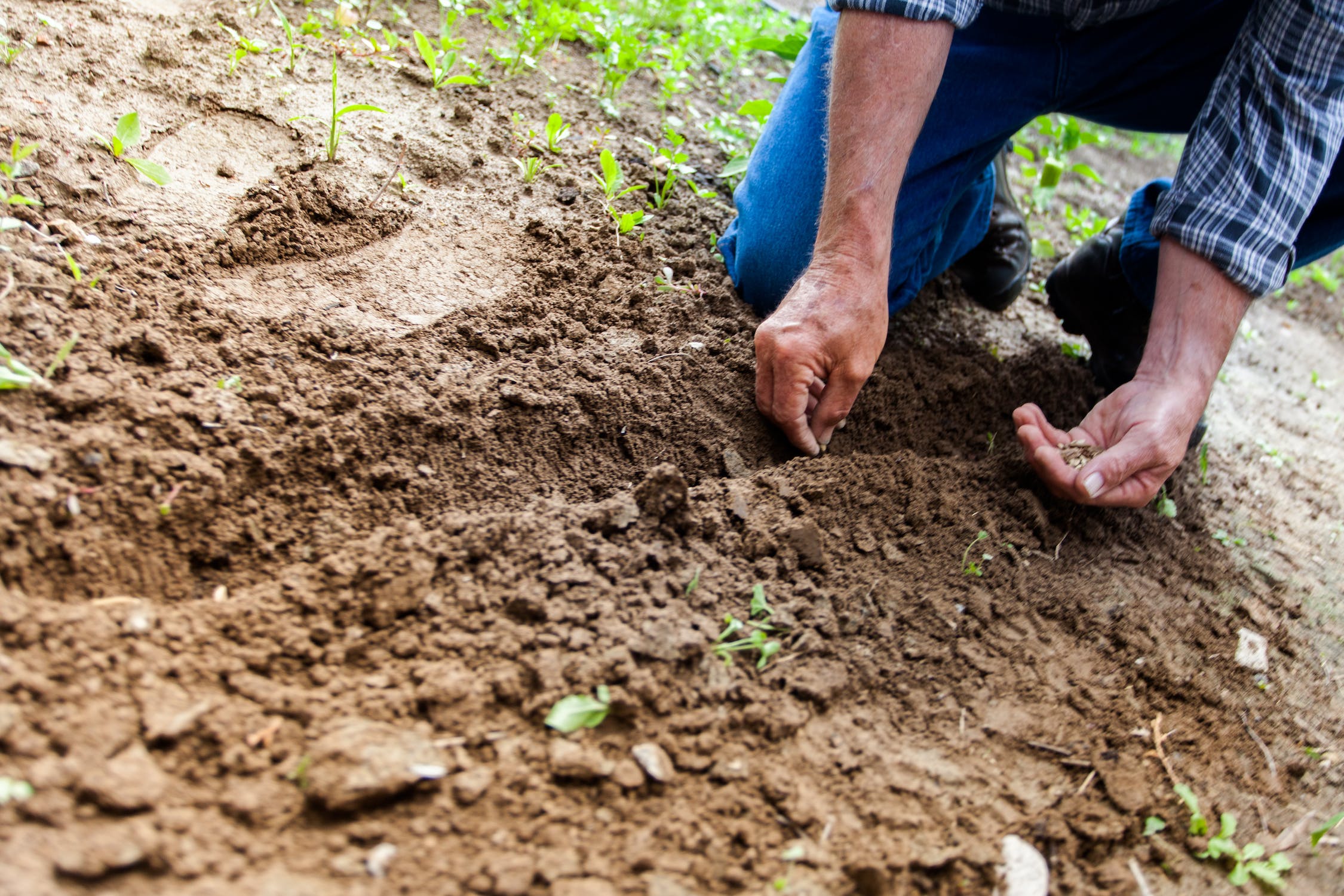 How to till soil by hand