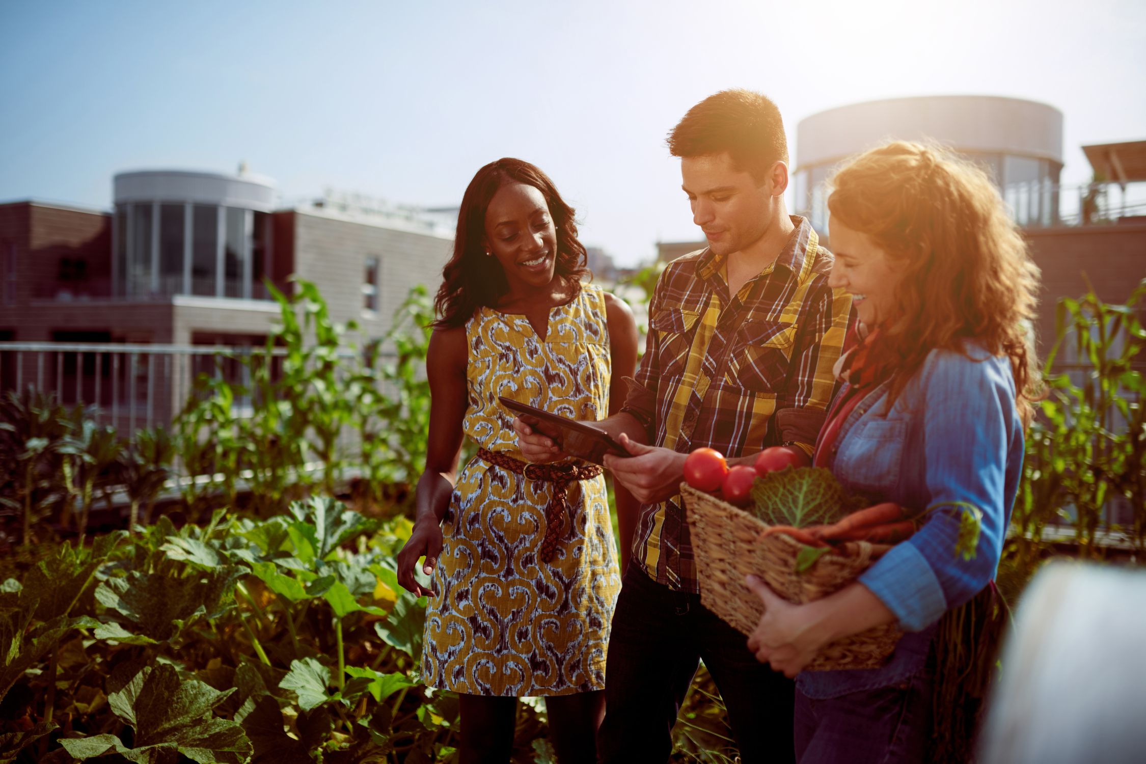 Helpful Tips for Starting a Rooftop Garden