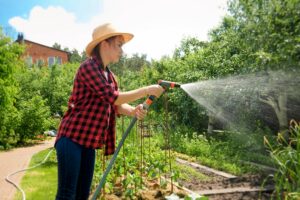 5 Maintenance Tips To Keep Your Backyard Clean