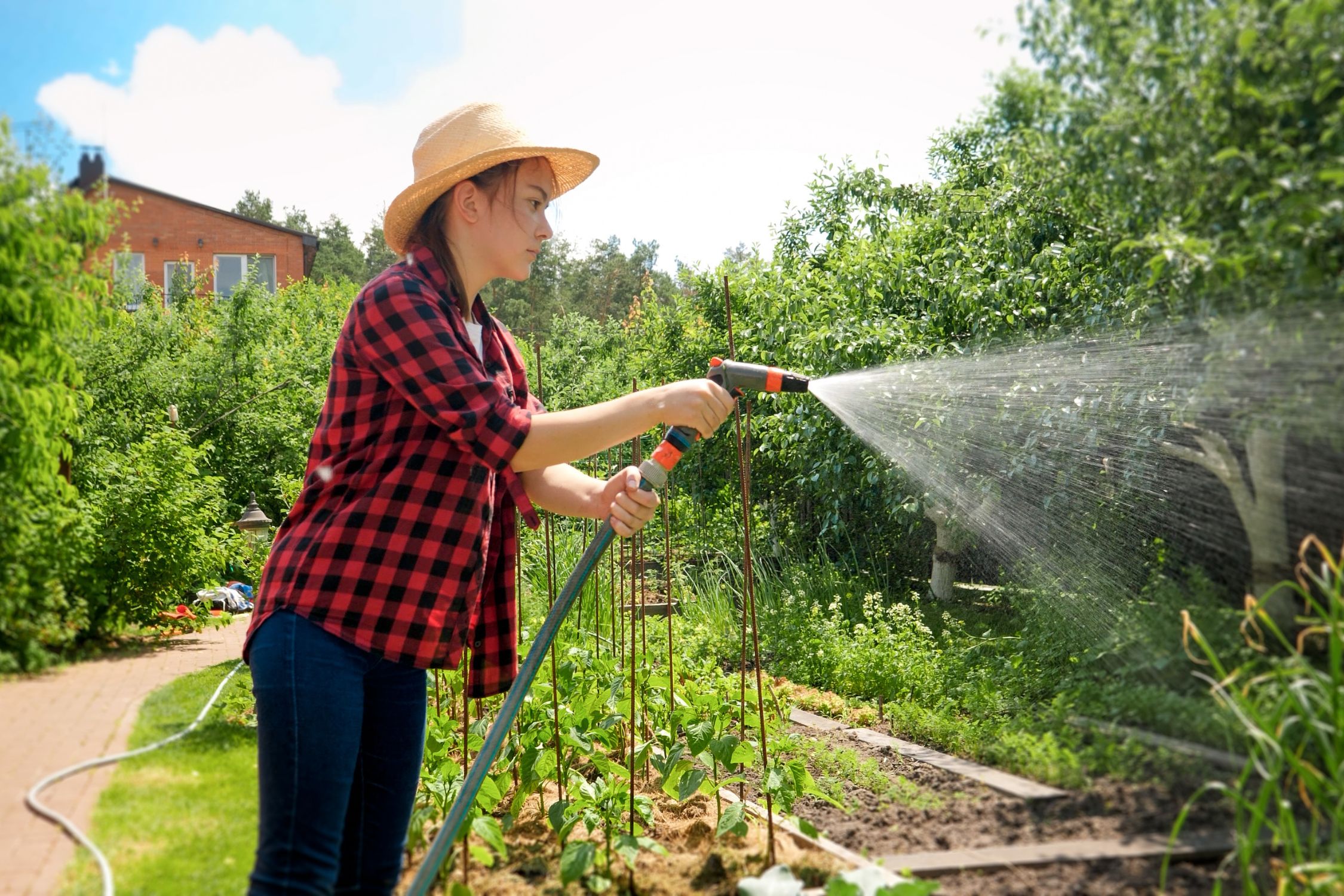 5 Maintenance Tips for a clean backyard