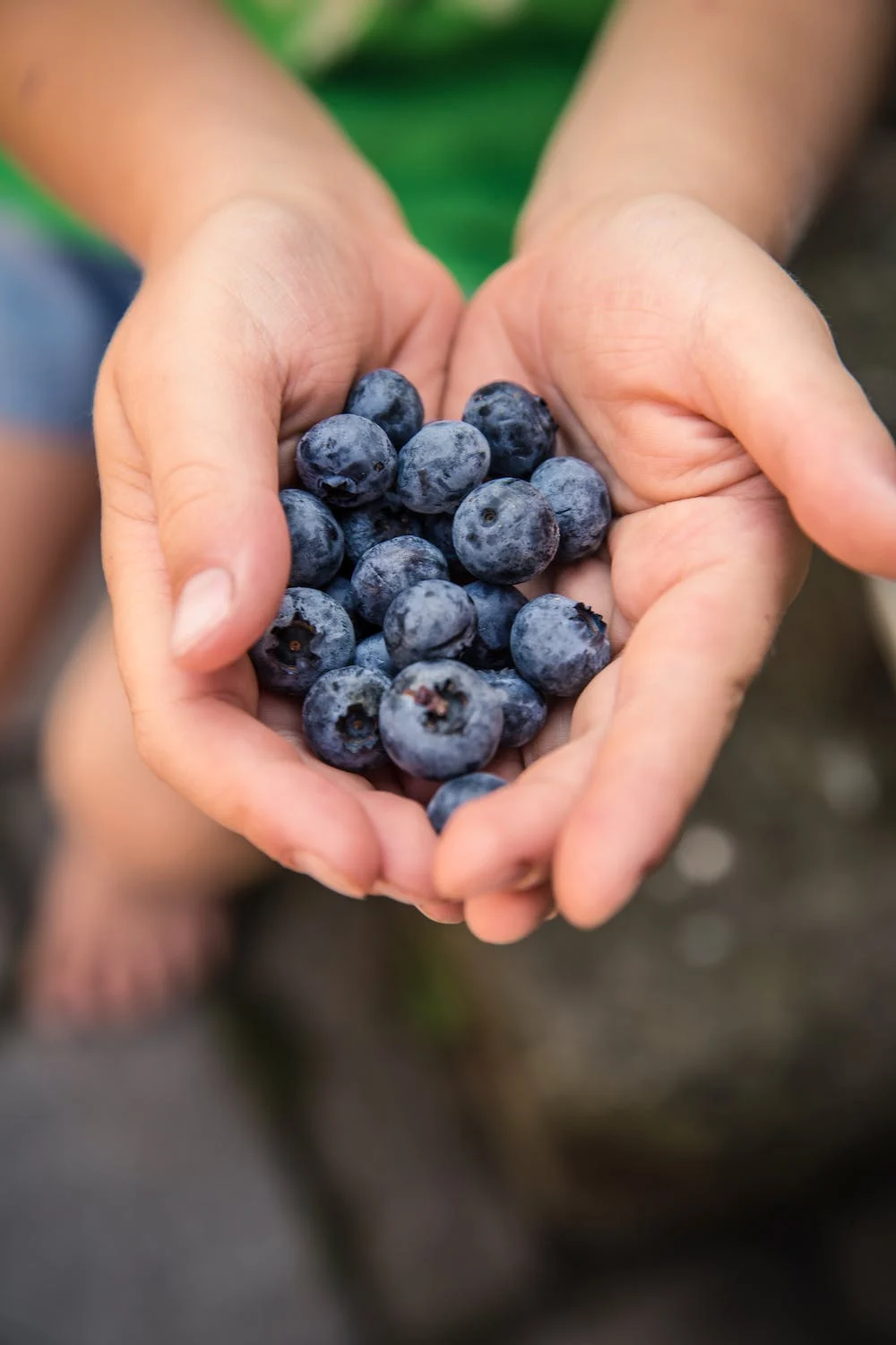 Growing and caring for berries