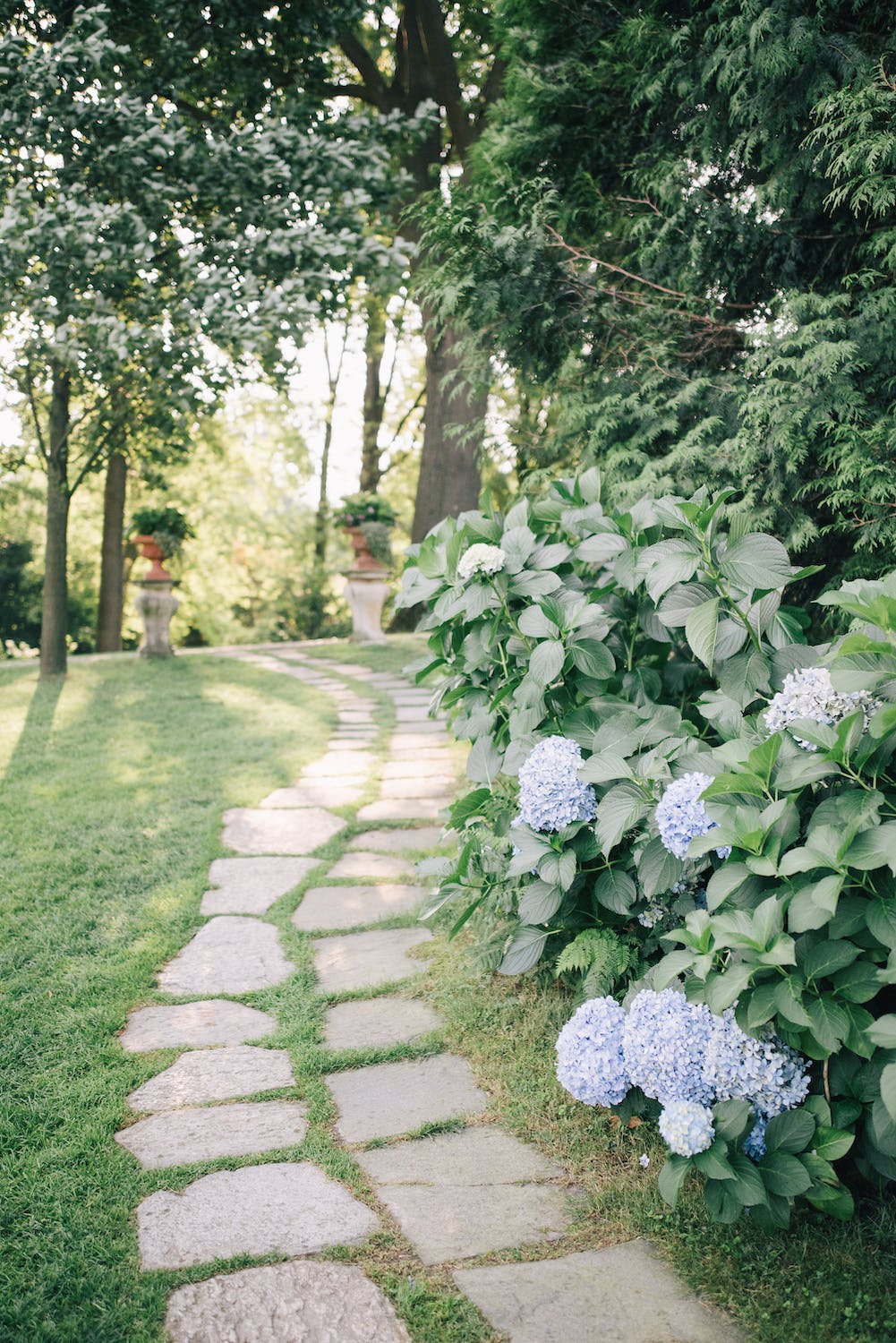 Landscaping your front yard with Hydrangeas