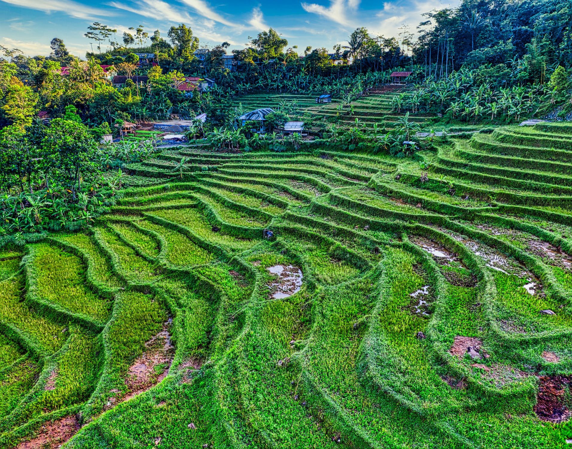 Planting a garden on a hill