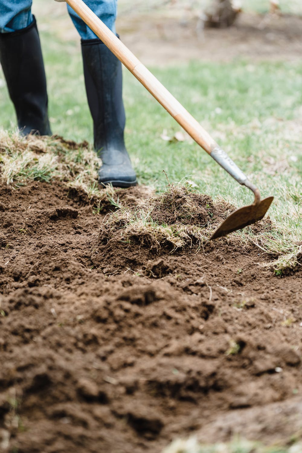 Top 6 tools for pulling weeds