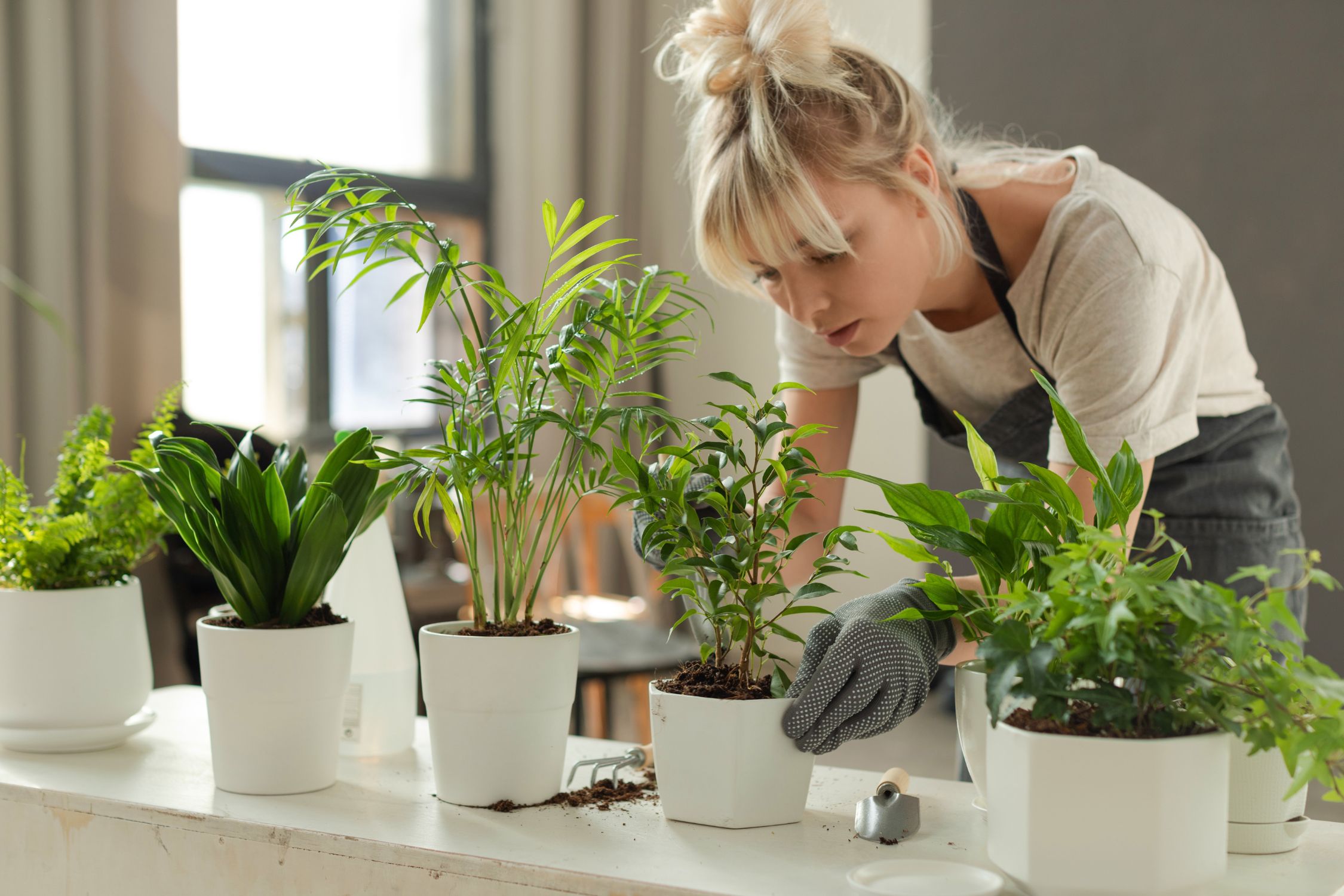 A Growing Dilemma: Raising Plants Indoors vs. Outdoors
