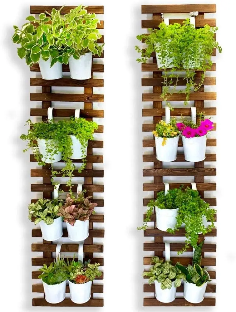 Vertical Gardening: Reaching New Heights in Green Spaces