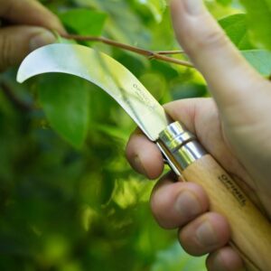 A pruning knife has a curved blade to promote cleaner cuts than a straight blade knife