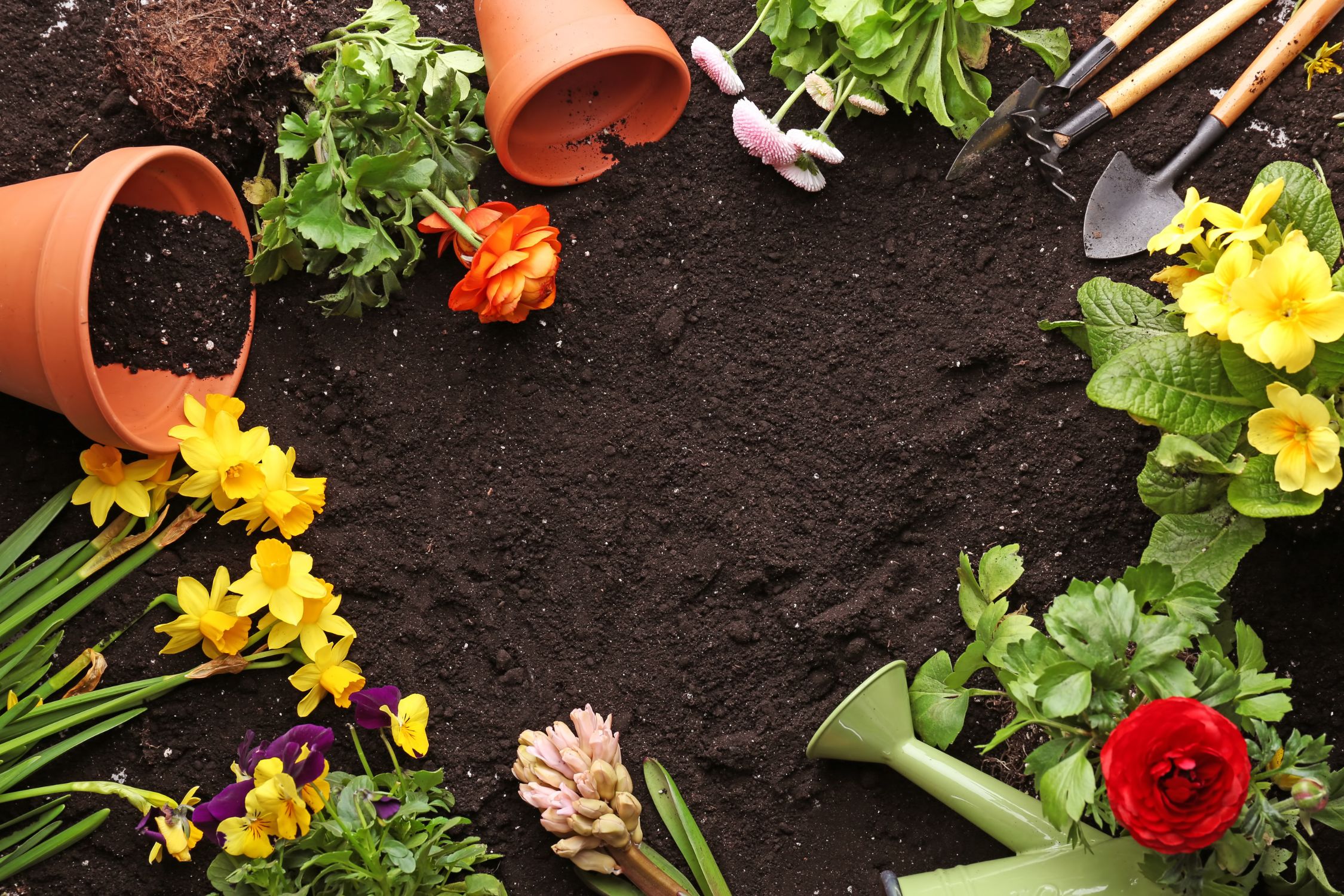 4 Simple Garden Maintenance Tips for Beginners
